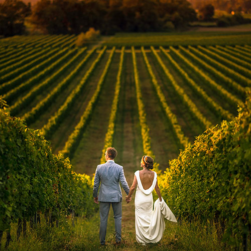 How to Choose Spanish Wines For Your Wedding